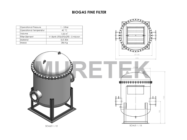biogas fine filter